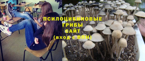 mix Костерёво