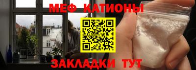 индика Кингисепп