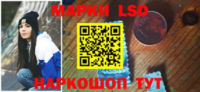 индика Кингисепп