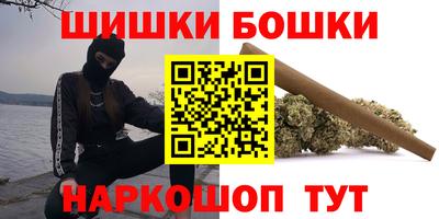 индика Кингисепп