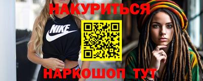 индика Кингисепп