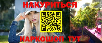 индика Кингисепп