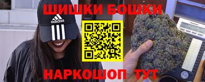 индика Кингисепп