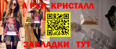 индика Кингисепп