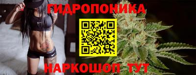 индика Кингисепп