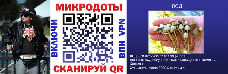 Псилоцибиновые грибы мицелий  Котлас 