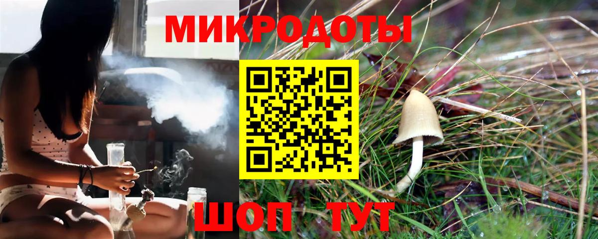 Галлюциногенные грибы мухоморы Котлас